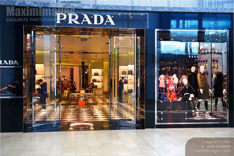 can you buy prada online.